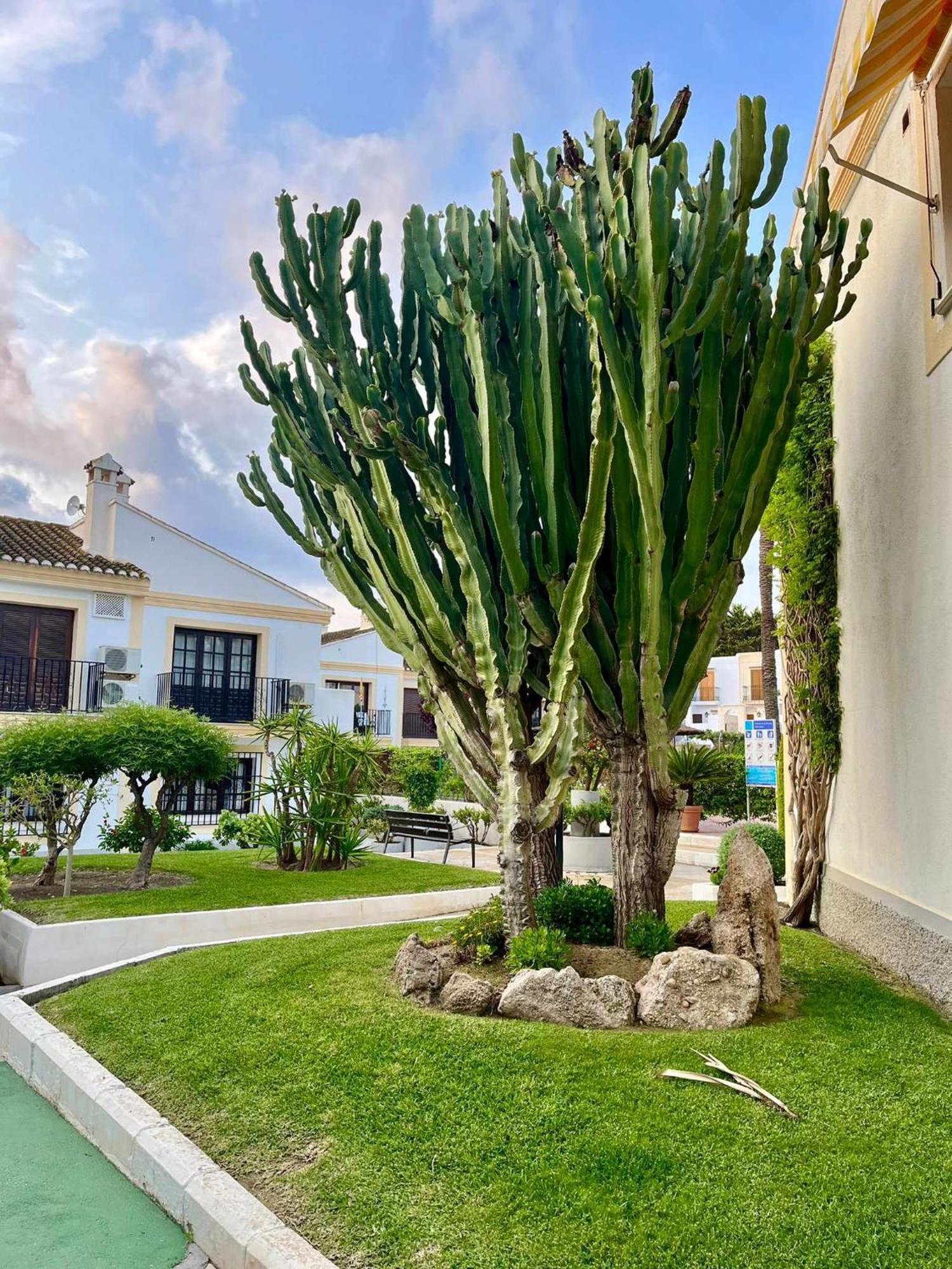 Apartamento Vera Coast 123 Playas de Vera 外观 照片