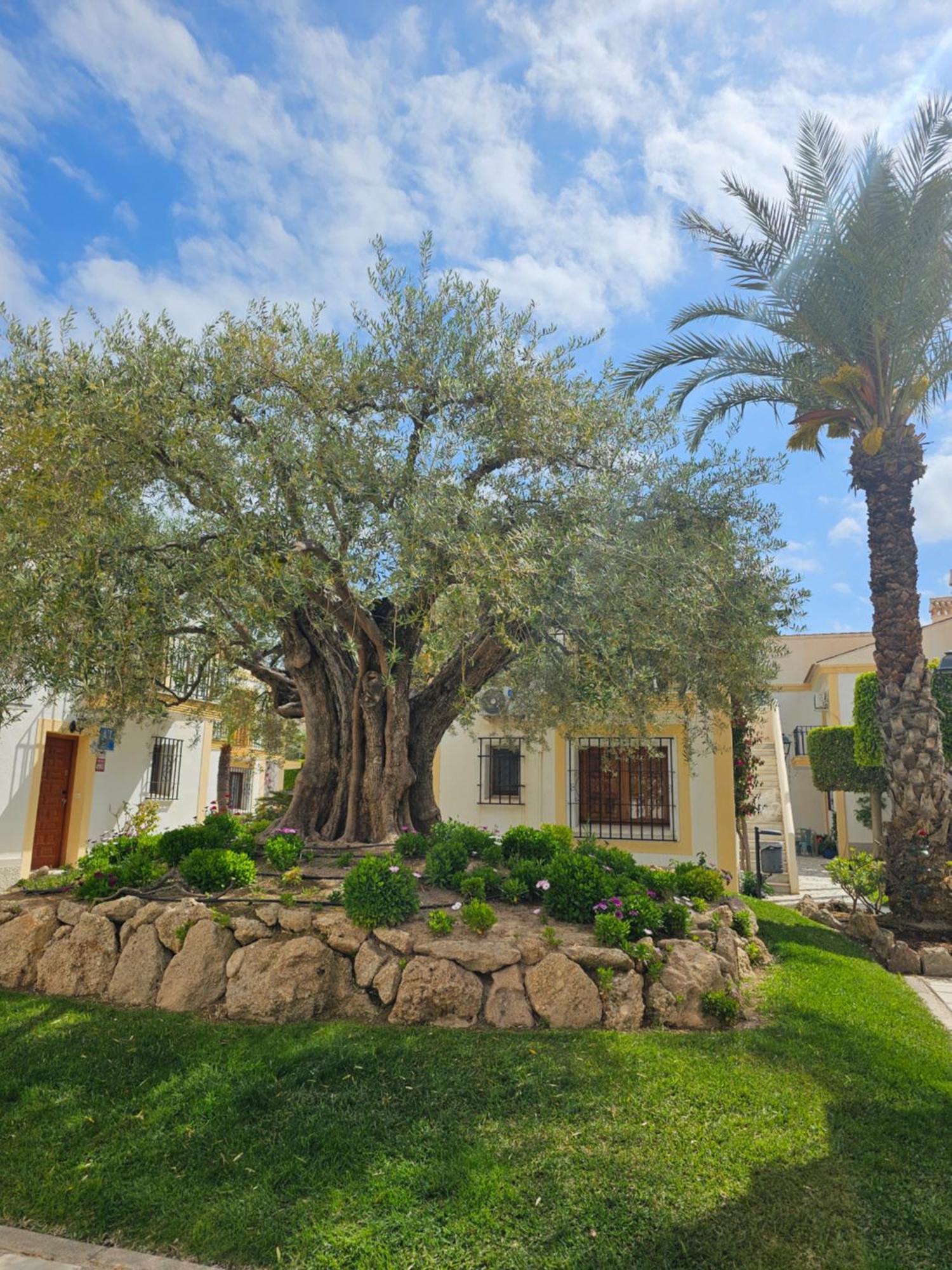 Apartamento Vera Coast 123 Playas de Vera 外观 照片