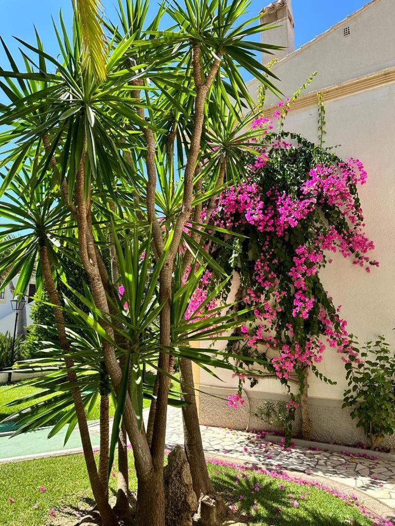 Apartamento Vera Coast 123 Playas de Vera 外观 照片